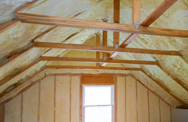 Best Insulation Maintenance and Repair in Dahlgren, VA