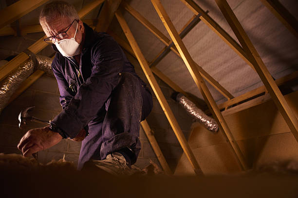 Best Specialty Insulation in Dahlgren, VA